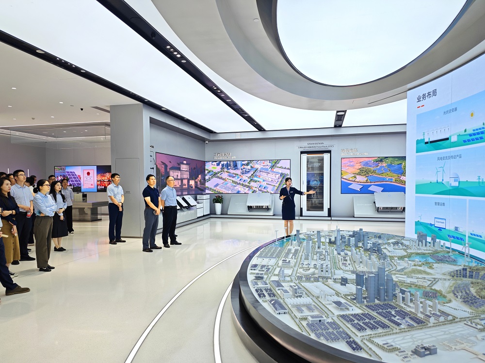 1751249133280 zxvxvvzvzv